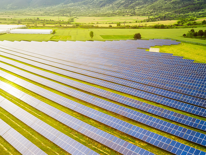 Solar field project